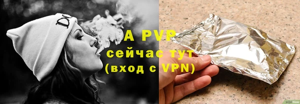 сатива Верея
