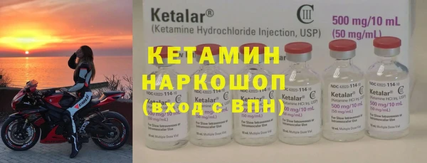 сатива Верея