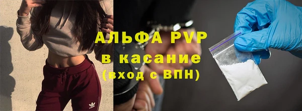 сатива Верея