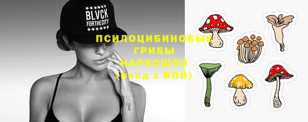 сатива Верея