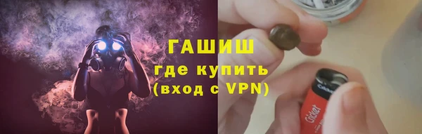 сатива Верея