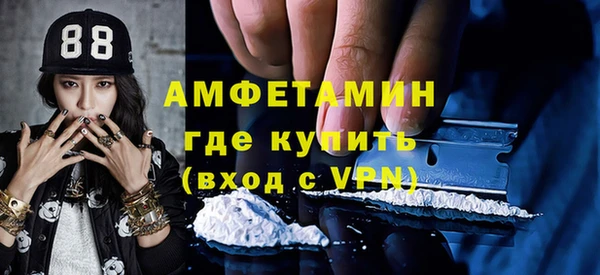 сатива Верея