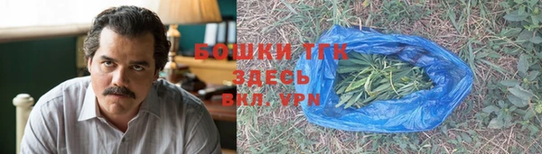 сатива Верея