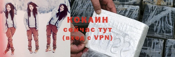 сатива Верея