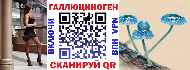 закладка Саранск ссылка на мегу как войти Псилоцибиновые грибы Psilocybe